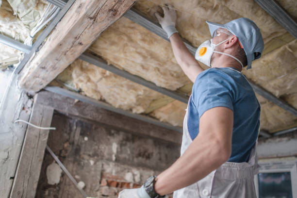 Best Spray Foam Insulation in Cudjoe Key, FL