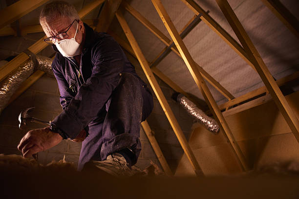 Best Geographic-Specific Insulation Services in Cudjoe Key, FL